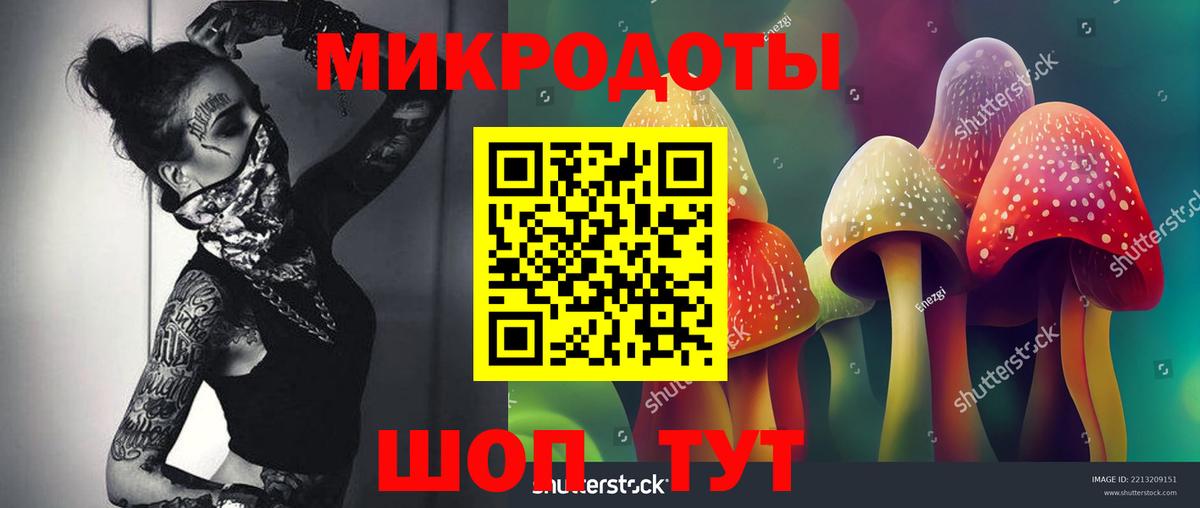 Псилоцибиновые грибы мицелий  Вход с VPN  купить наркотики сайты  Каспийск 