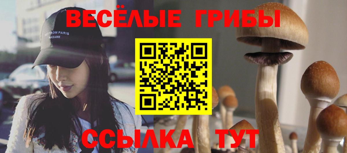 Галлюциногенные грибы мухоморы Каспийск